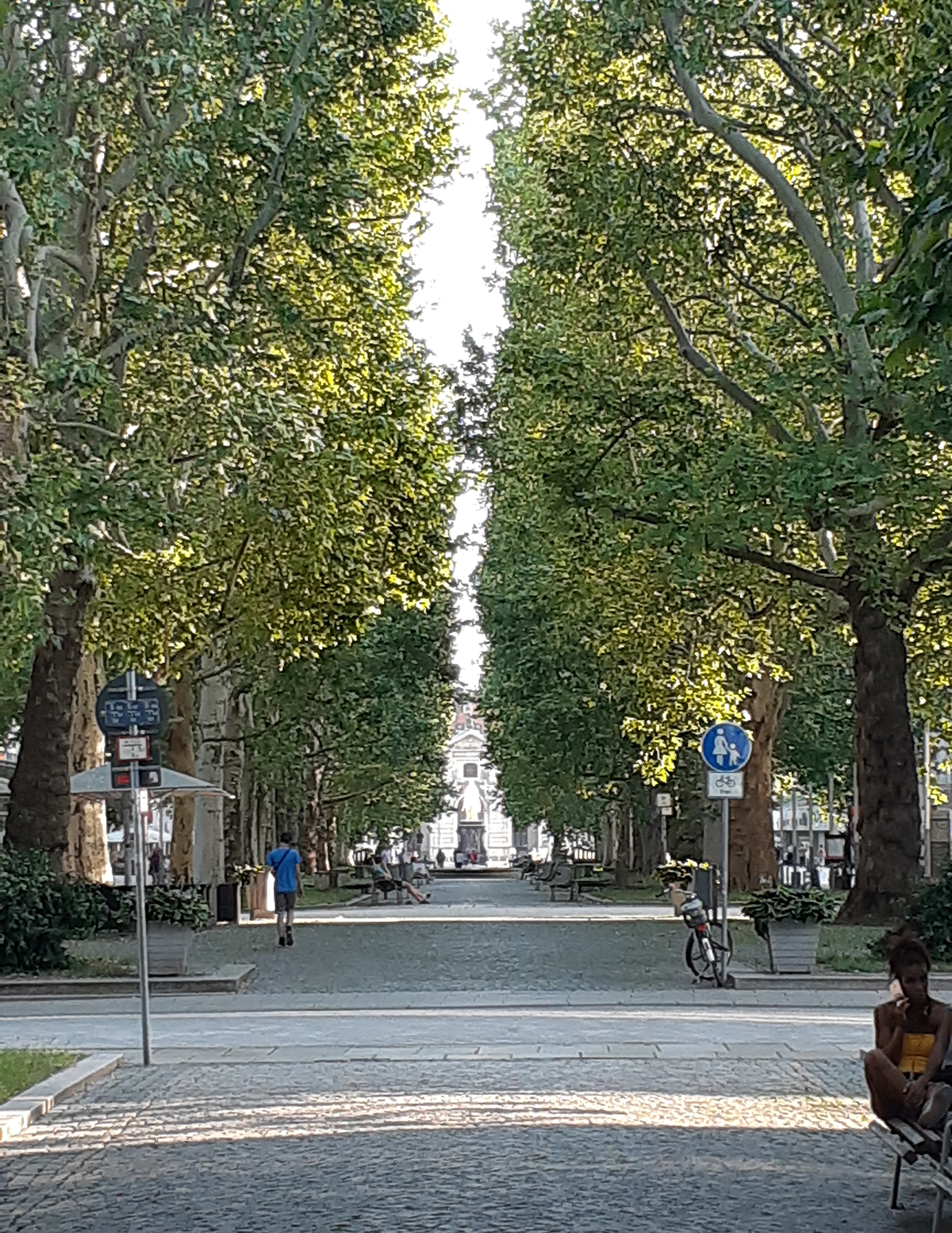 Straße als Allee mit hohen Bäumen in Buenos Aires
