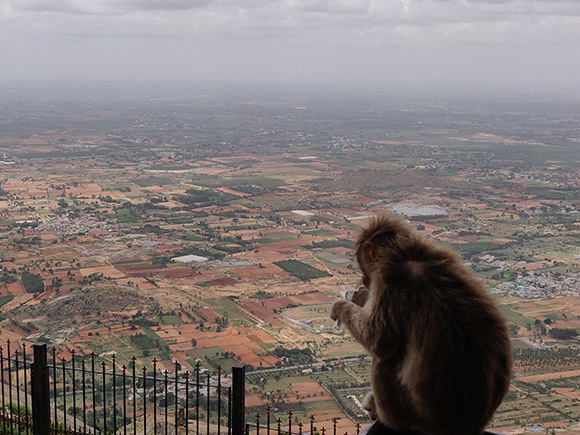 Aussicht vom Berg auf Indien